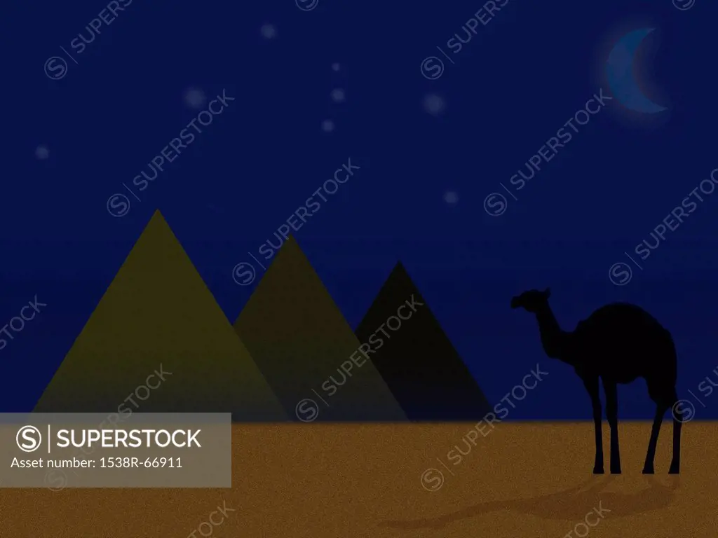 A camel standing by a row of pyramids
