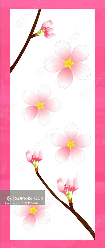Illustration of Pink Blossoms