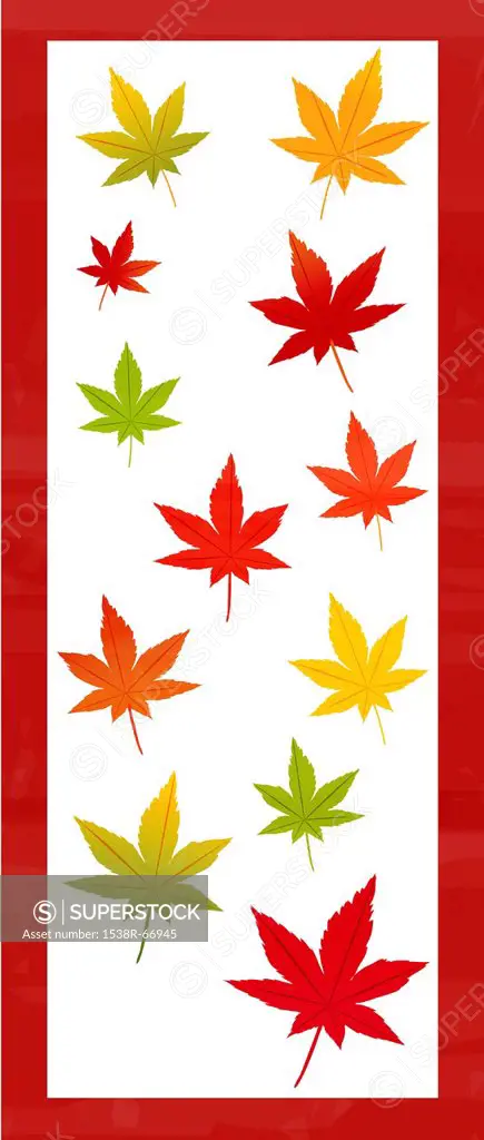 Illustration of different colored leaves