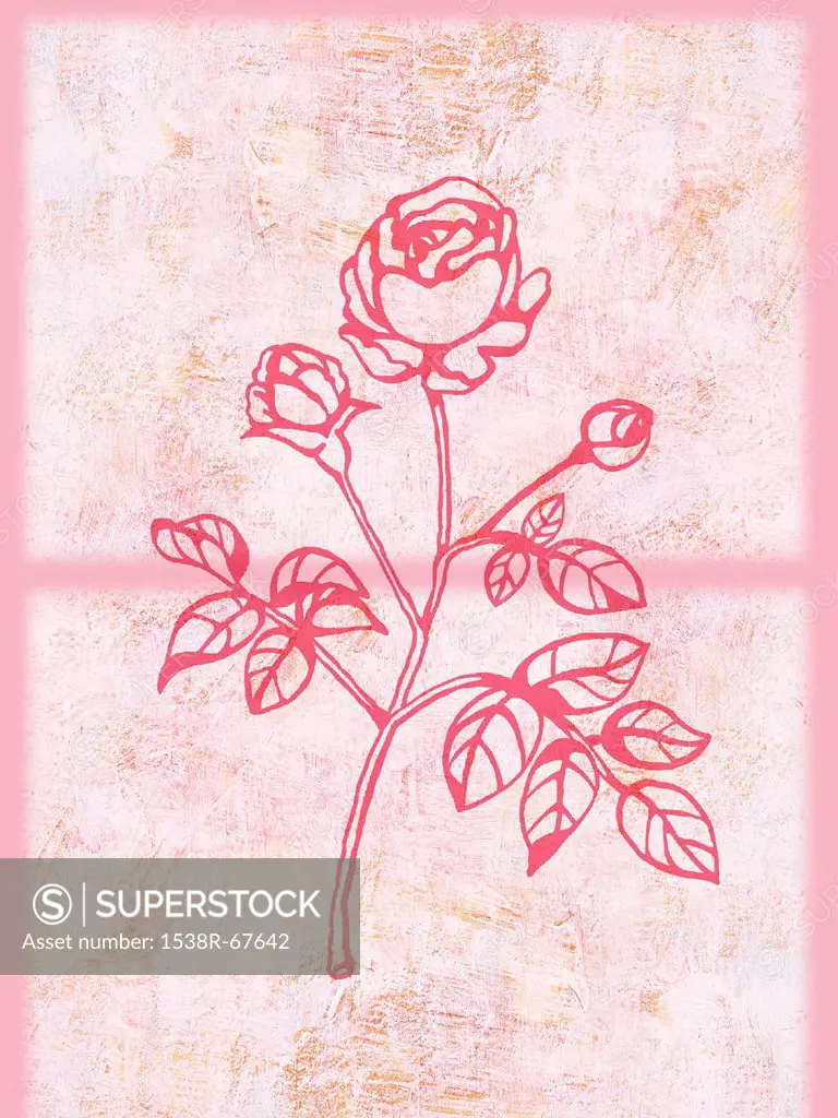 An illustration of a pink rose
