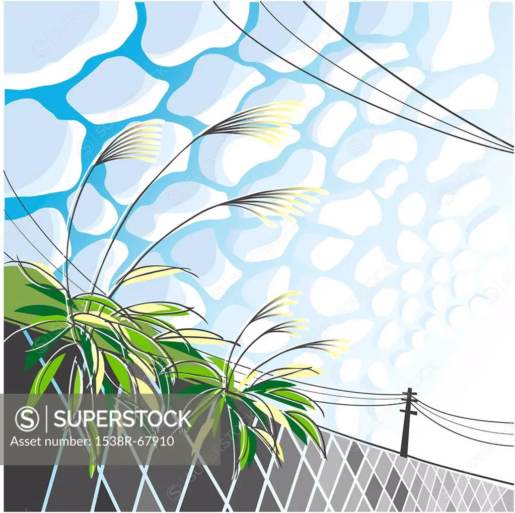 Illustration of the sky, power lines, and plants