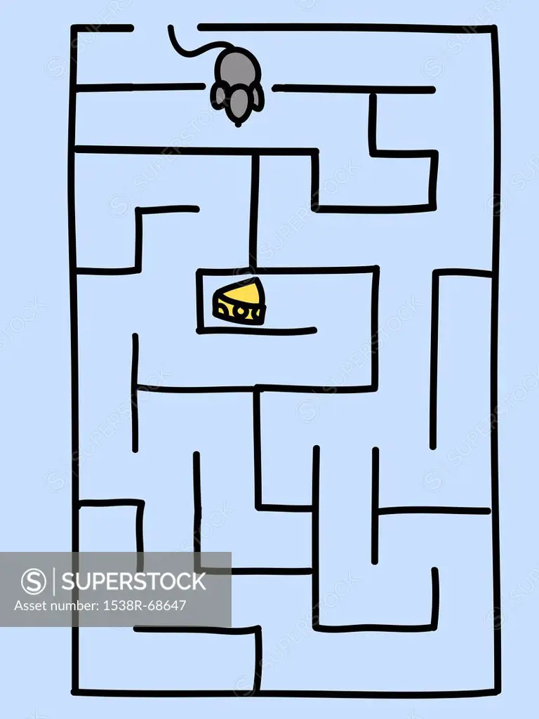 Mouse and cheese maze