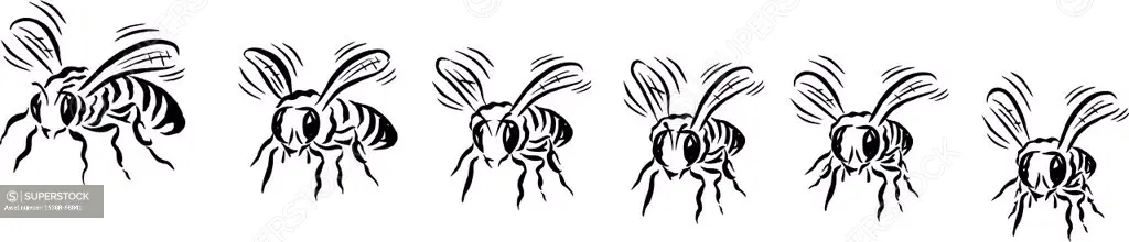 a row of bees in black and white