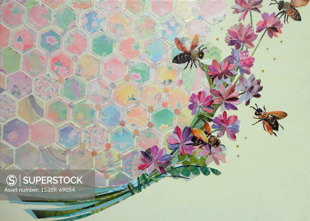 A flower and honeycomb collage