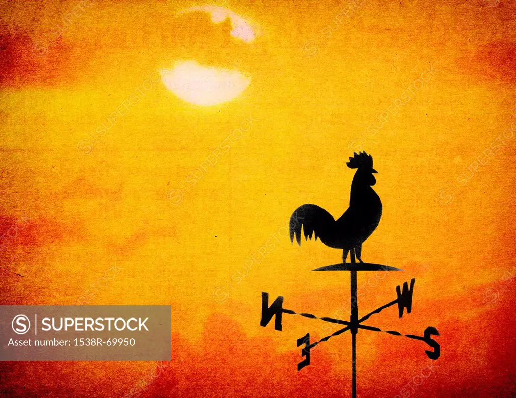 a weather vane with a rooster on top