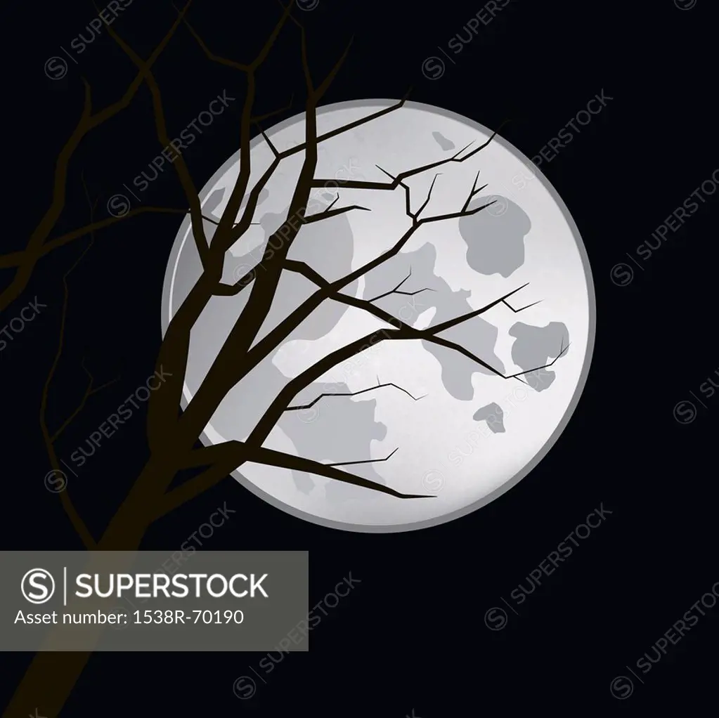 A tree in front of the moon