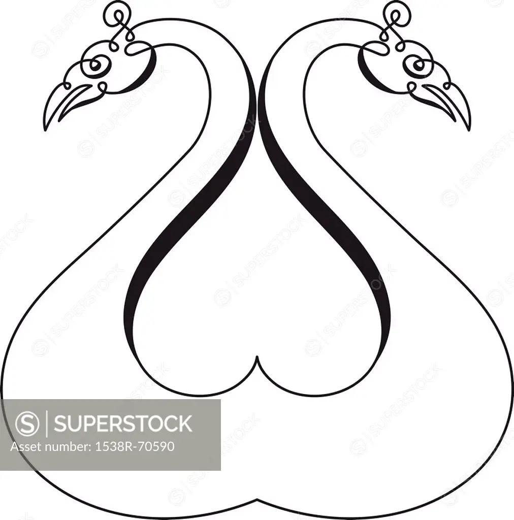 Calligraphic swans