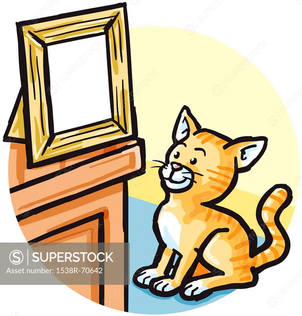 A cat looking at a picture frame