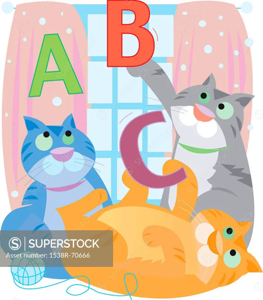 Cats playing ABC´s
