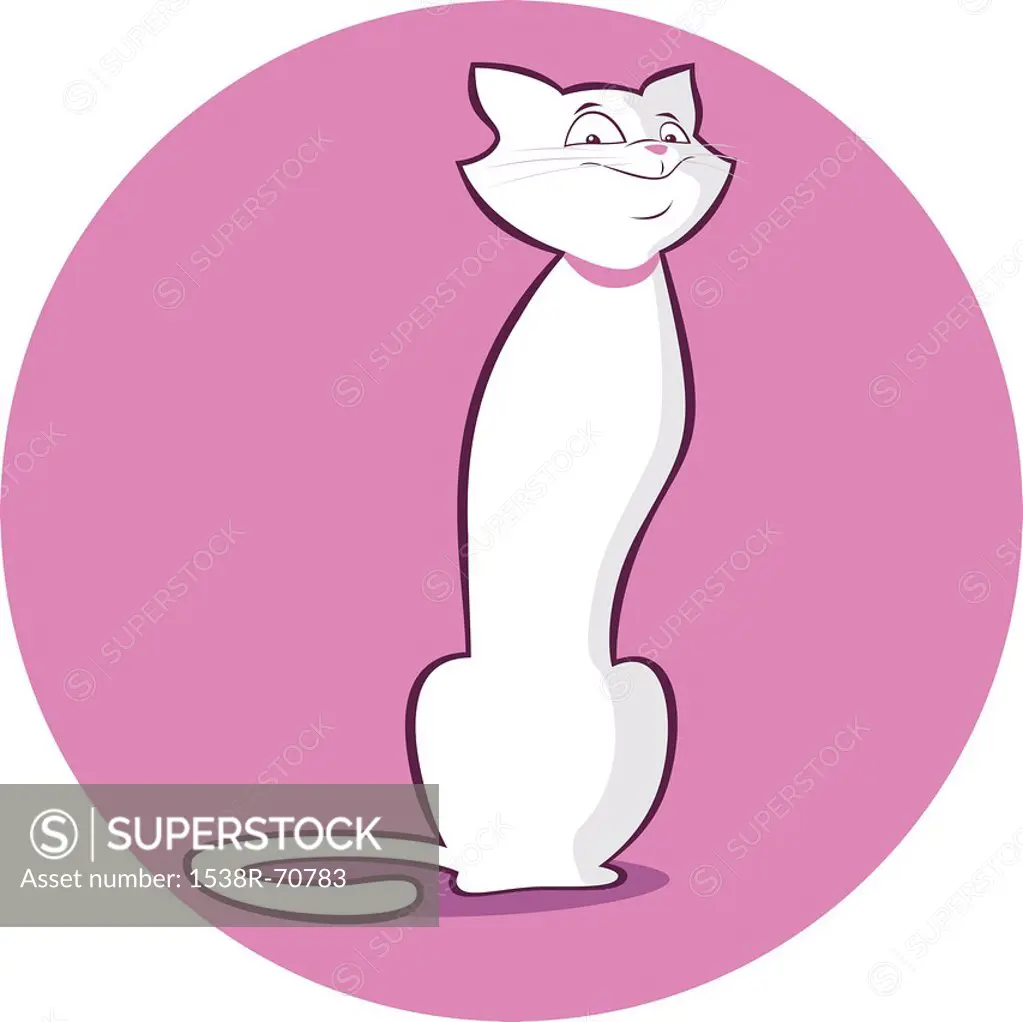 A cat on a purple background