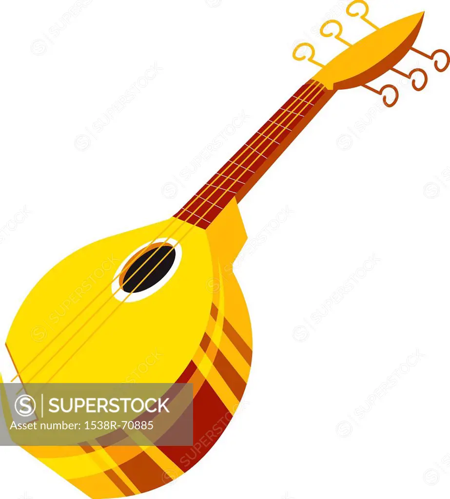 A mandolin