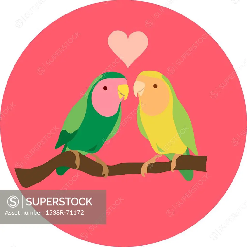 Two birds perched on a branch against white background