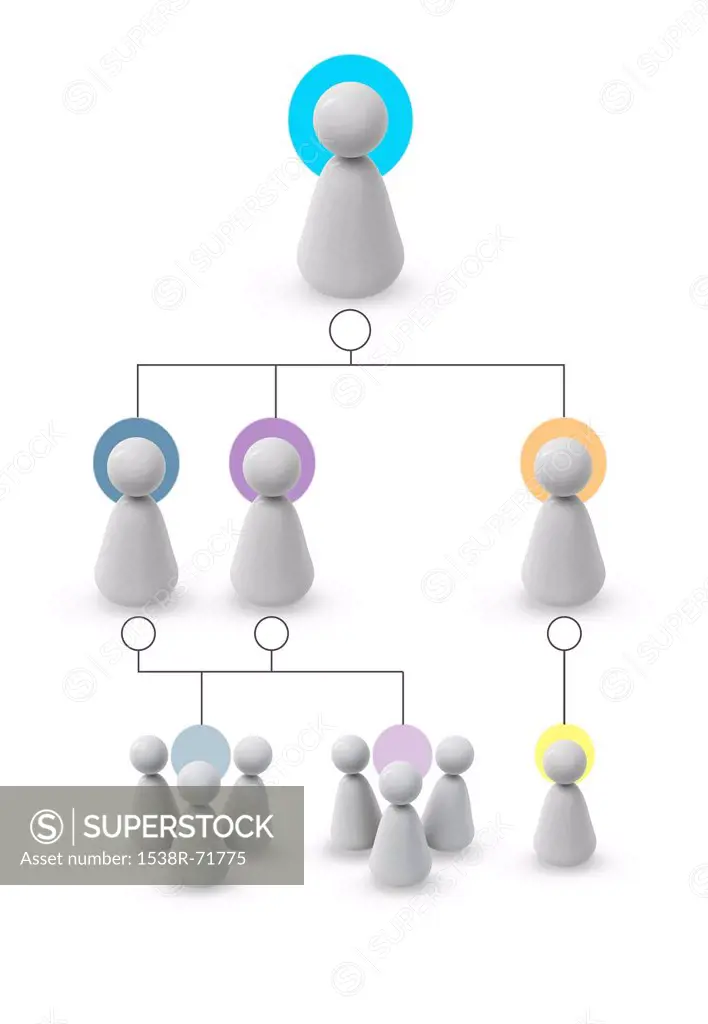 A family tree chart