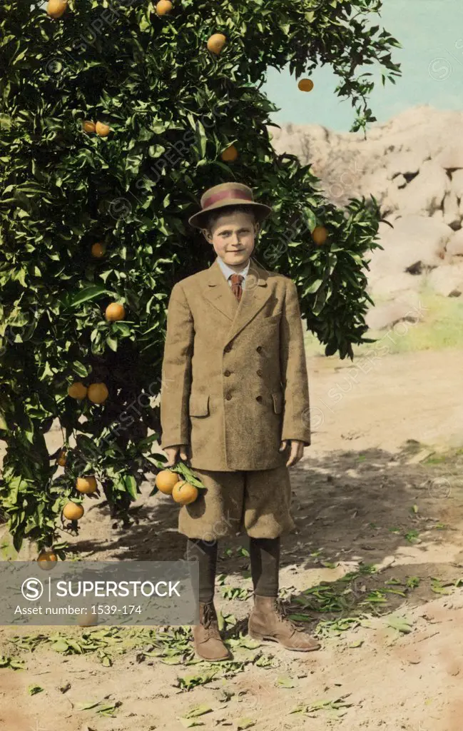Portrait of a boy standing near an orange tree and smiling, c.1910
