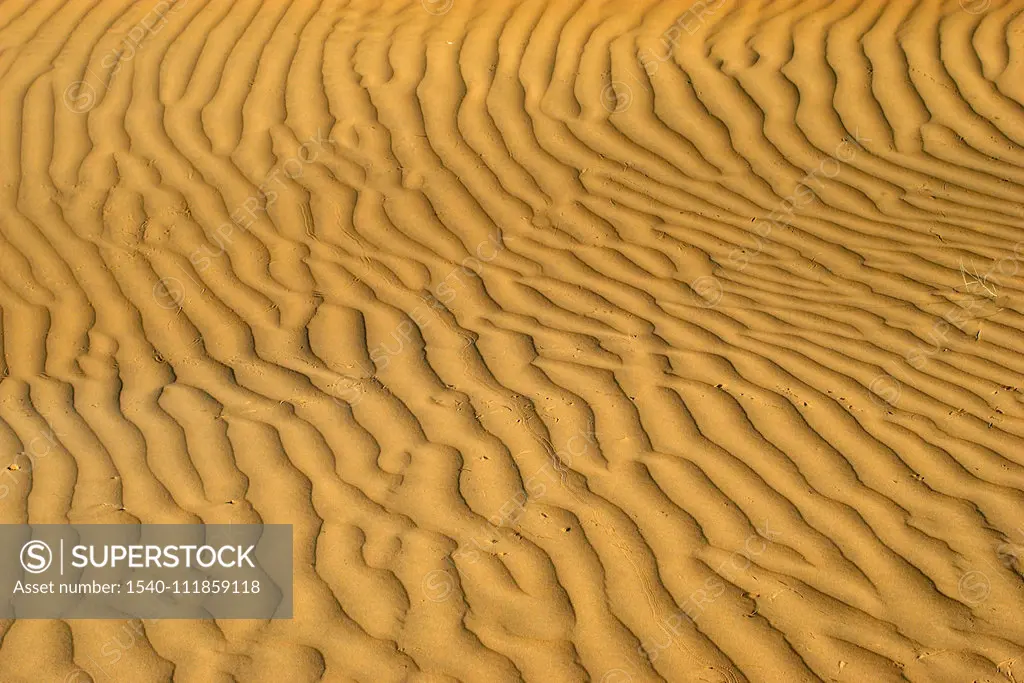 Sand Dunes thar desert, Sam Sand Dunes, Jaisalmer, Rajasthan, India