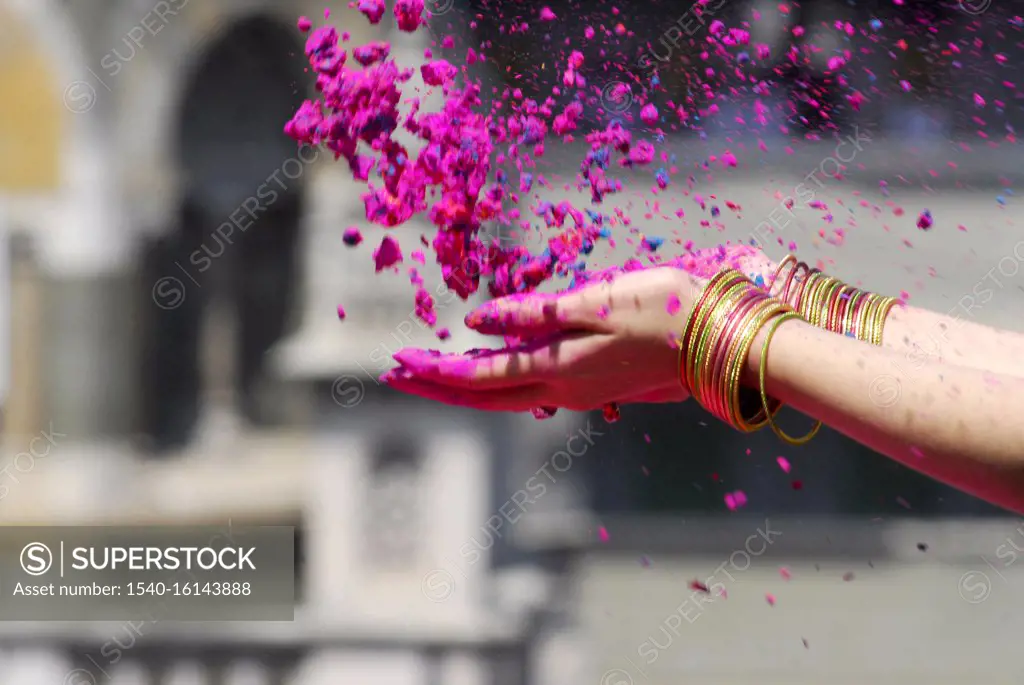 A female hand full of Holi colours during Holi festival  ; Bombay Mumbai ; Maharashtra ; India