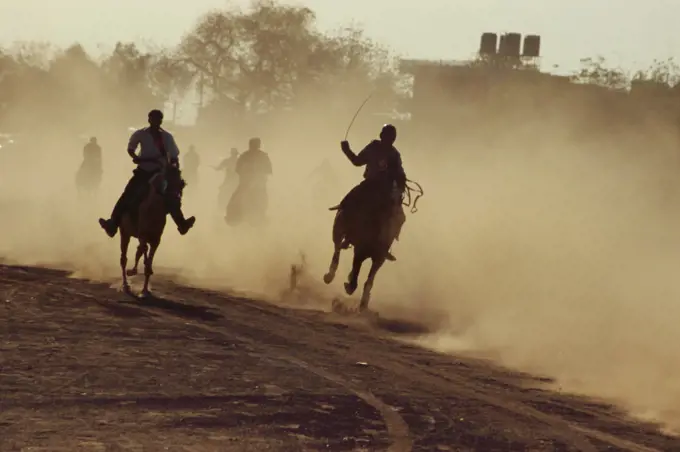 Horse race , Jodhpur , Rajasthan , India