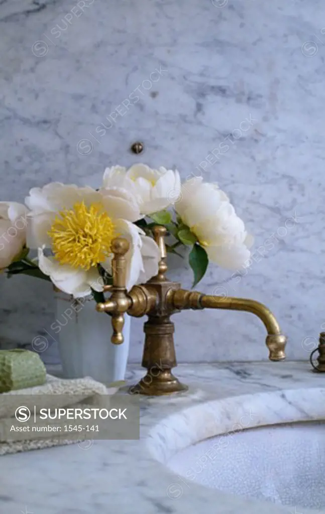 Flowers in a vase near a sink