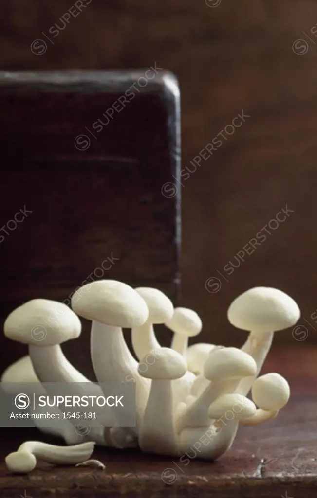 Close-up of mushrooms on a table