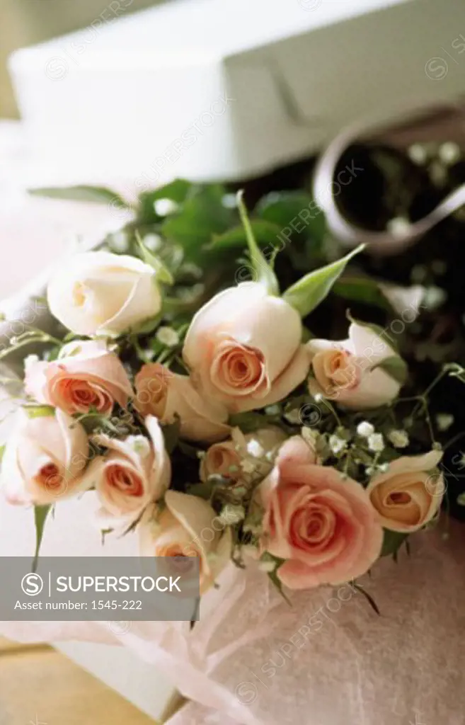 Close-up of a bouquet of roses