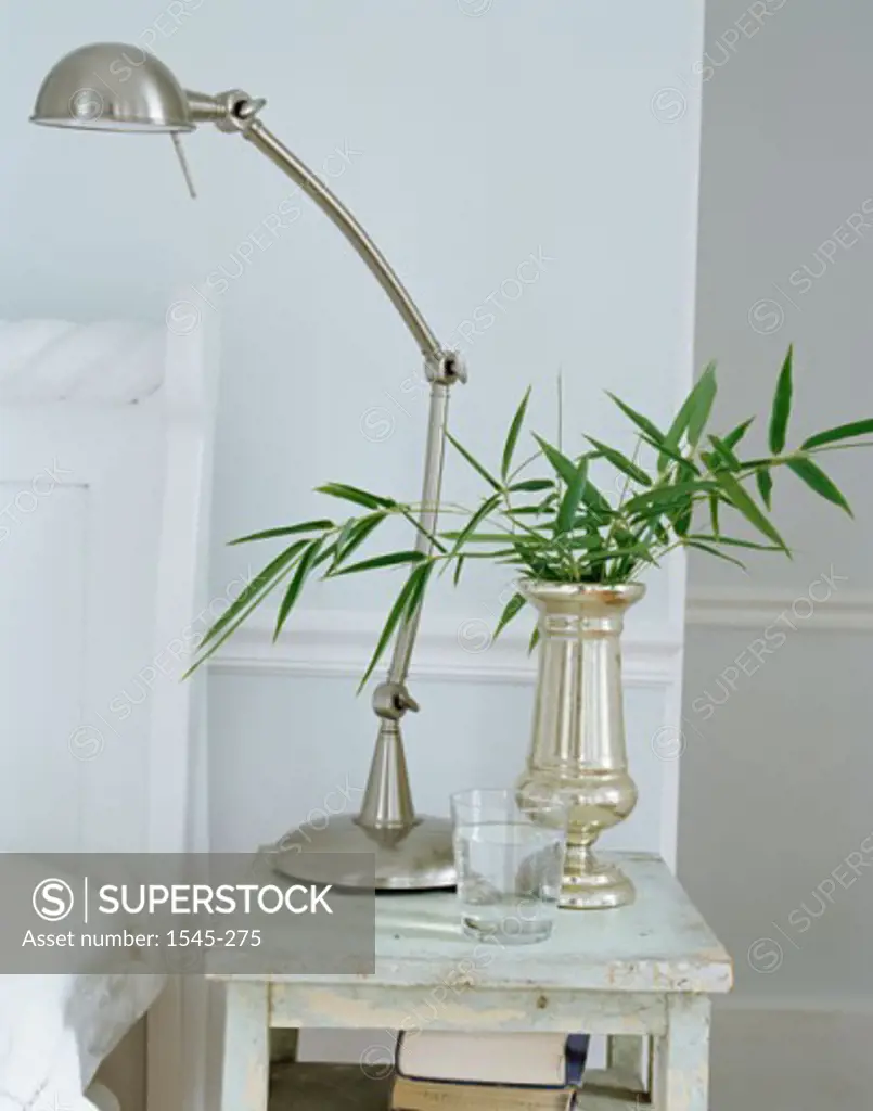 Close-up of a vase and an angle-poise lamp on a side table