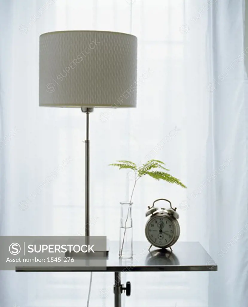 Close-up of a lamp with a vase plant and a clock on a table