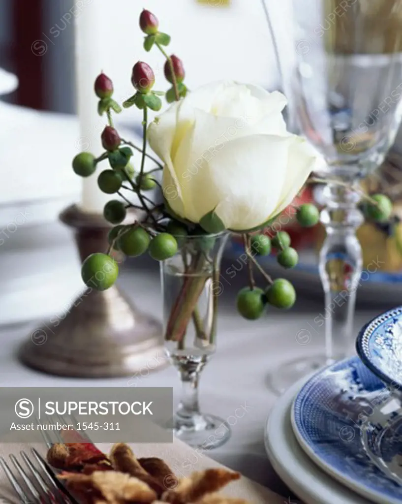 Close-up of a white rose and buds in a glass on a table