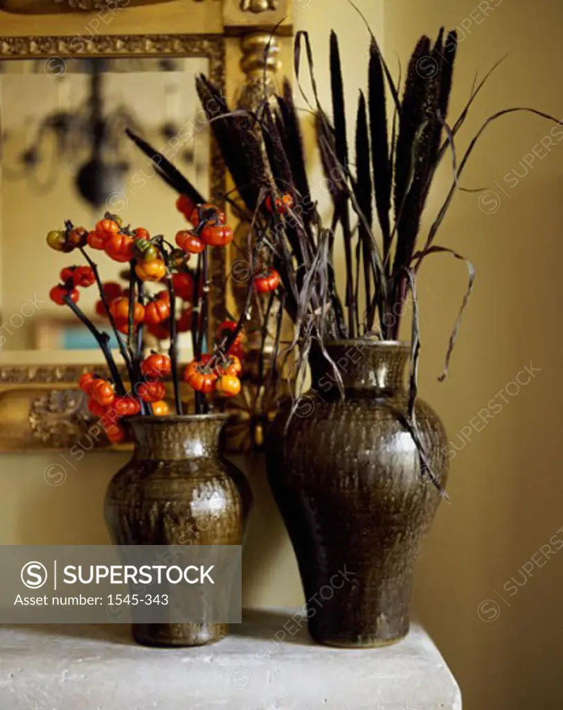 Dry flowers in two vases