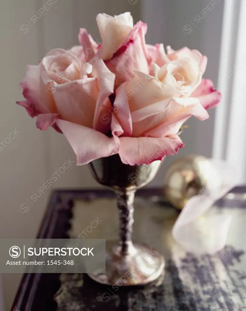 Close-up of roses in a vase