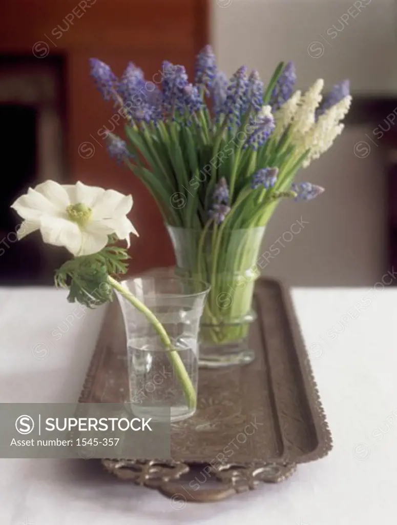 Close-up of flowers in two vases on a tray