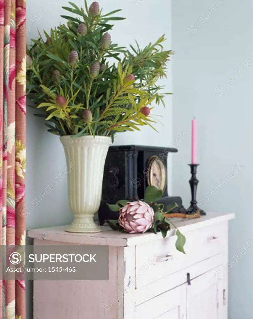 Flowers in a vase on a cabinet