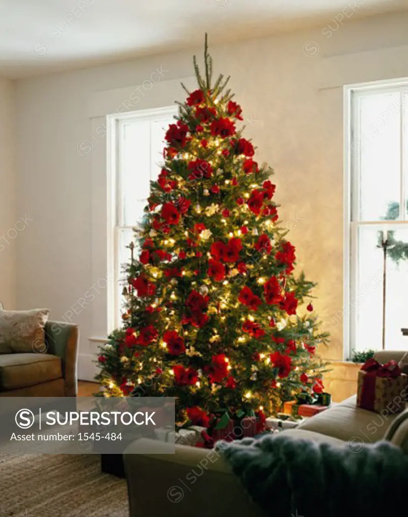 Close-up of a decorated Christmas tree in a living room
