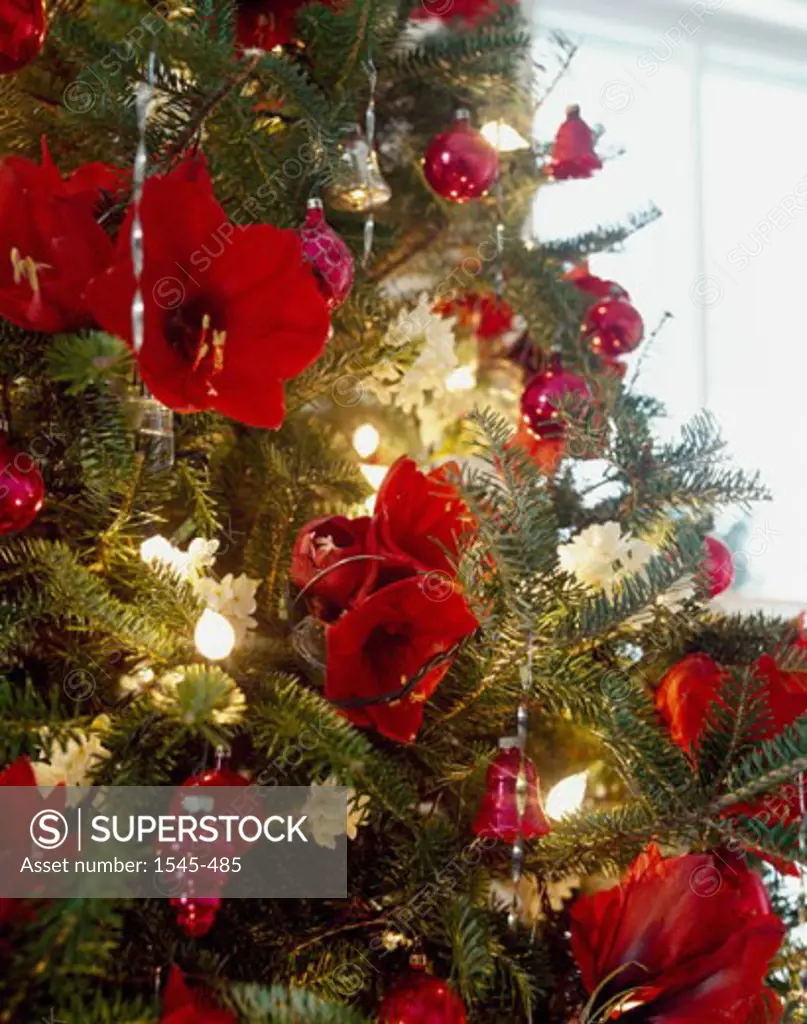 Close-up of a Christmas tree decorated with flowers and Christmas lights