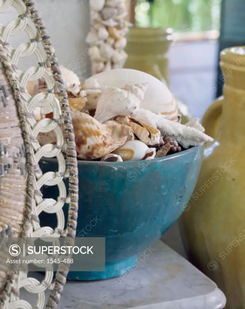 Close-up of seashells and conch shells in a bowl on a table