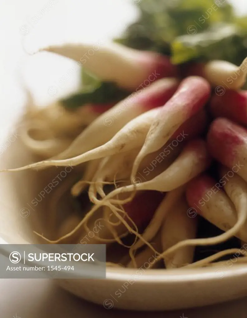 Close-up of a bunch of radishes in a bowl