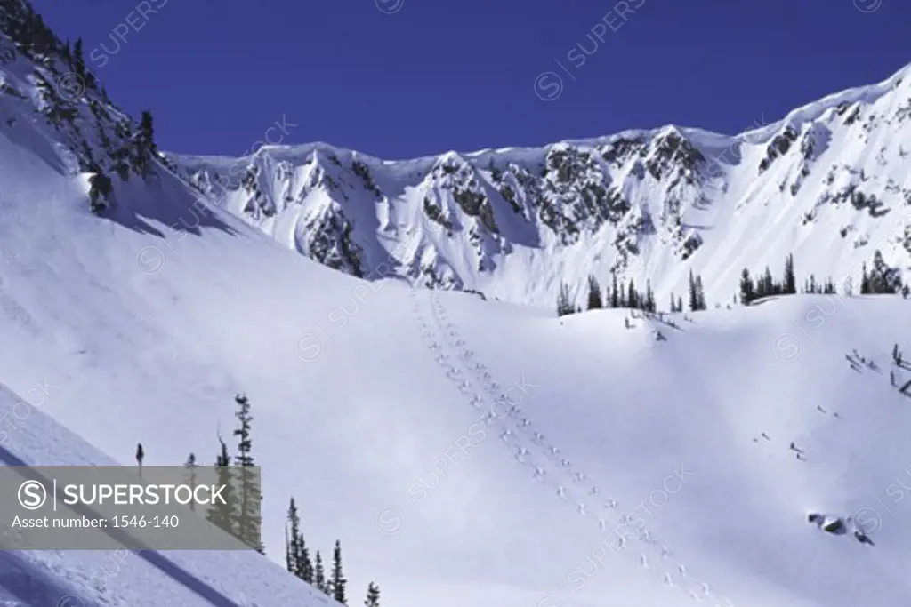 High angle view of a ski slope