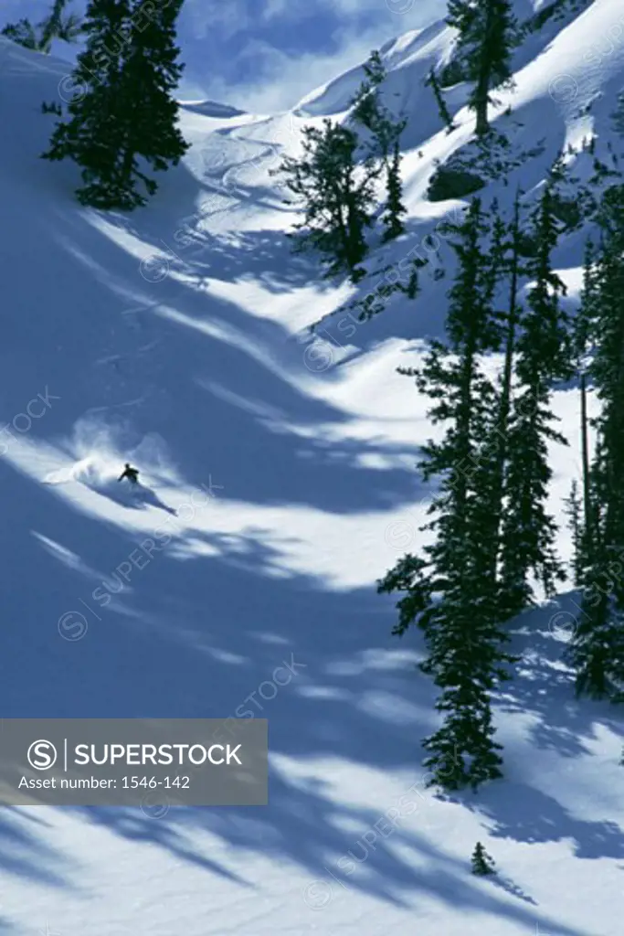 High angle view of a man skiing