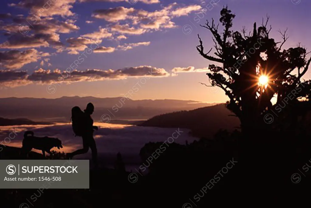 Silhouette of a woman hiking with her dog, Donner Summit, Truckee, California, USA