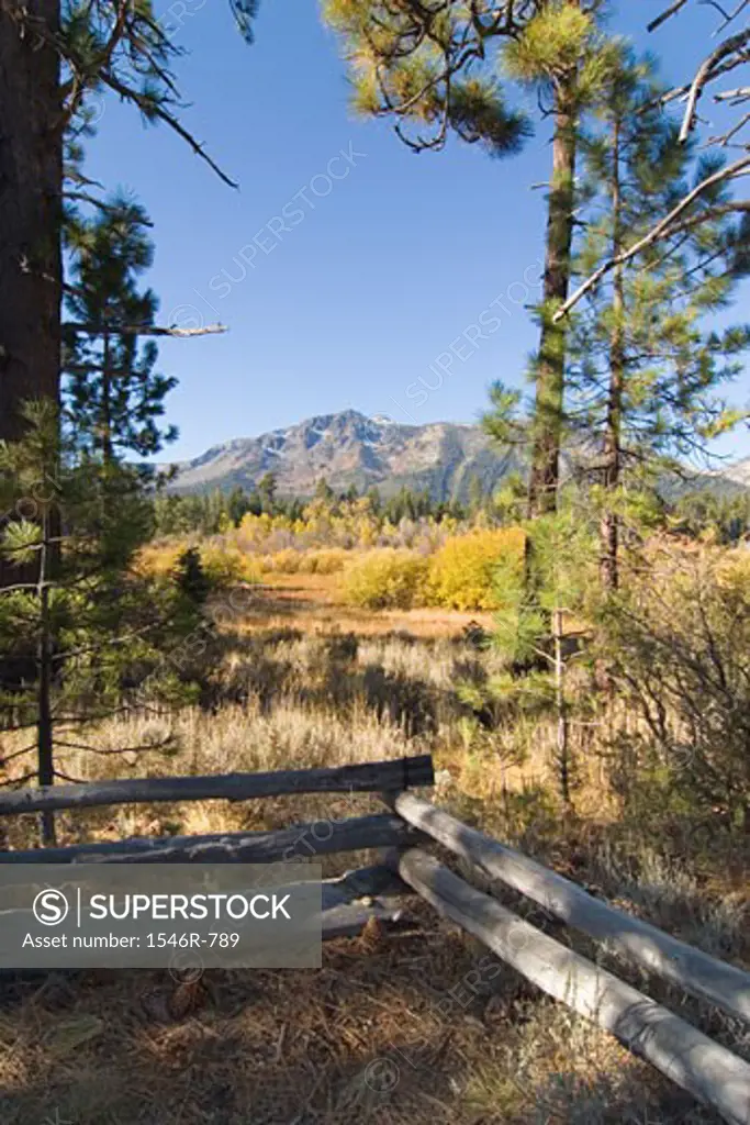 Fence in a field with a mountain range in the background, Mt Tallac, near Lake Tahoe, California, USA