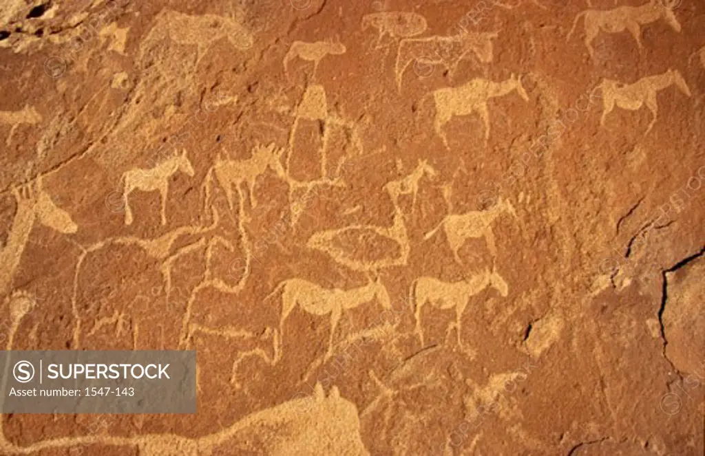 Close-up of paintings on rock, Twyfelfontein, Namibia