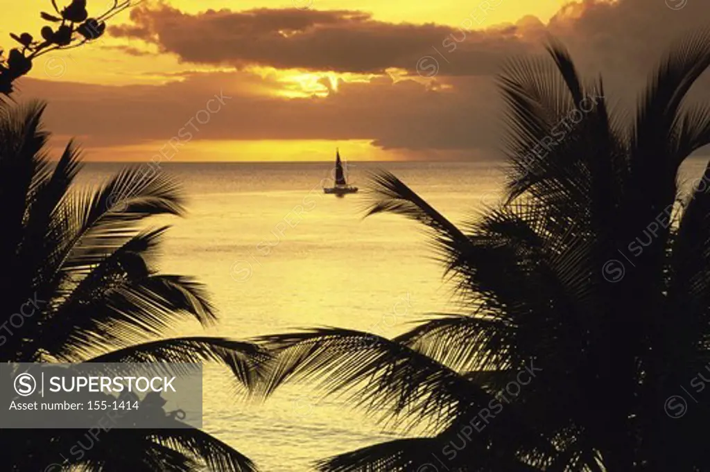 Silhouette of a sailboat in the sea, St. Lucia