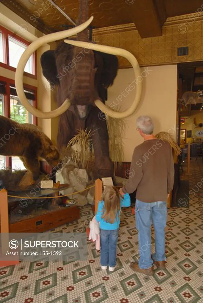 Senior man and his granddaughter looking at a mammoth sculpture in a museum