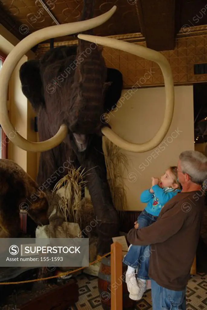 Senior man and his granddaughter looking at a mammoth sculpture in a museum