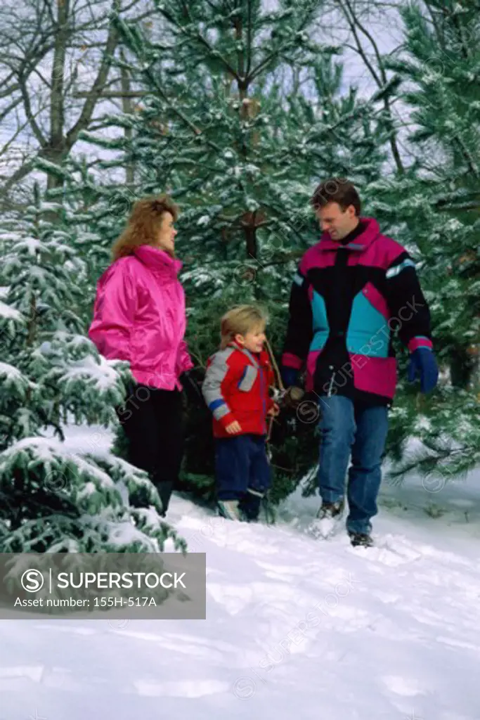 Mid adult man dragging a Christmas tree with his son and wife