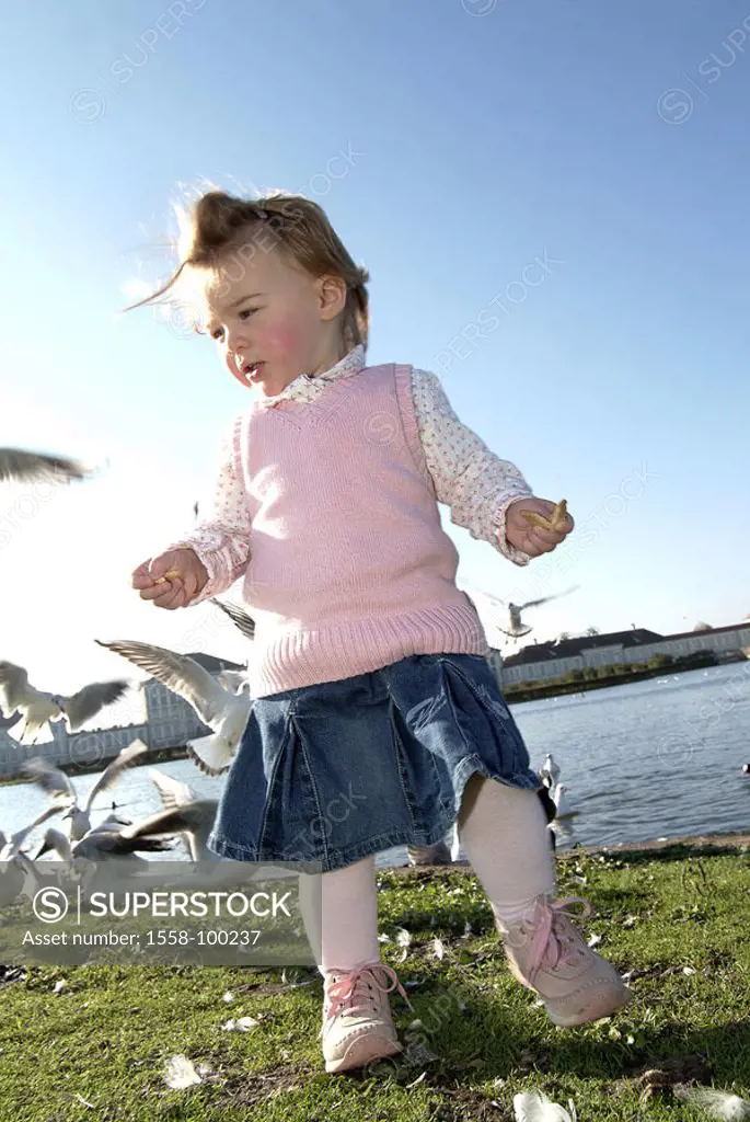 Girls, toddler, swans, run,  Ducks, feeds, park, shores,   Series, child, 2-4 years, whole bodies, childhood, experience, experience, animal love, int...