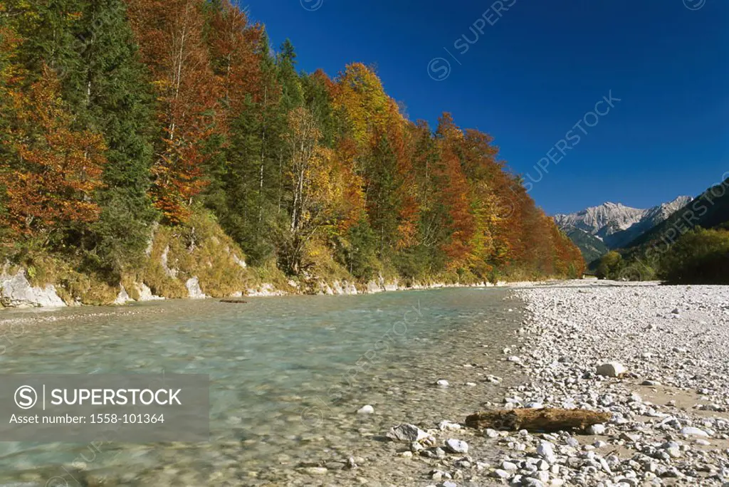 Austria, Tyrol, narrow, big maple ground,  Karwendel, rip brook, Herbstwald,   alpine upland, Engtal, landscape, mountains, mountains, Karwendel, seas...