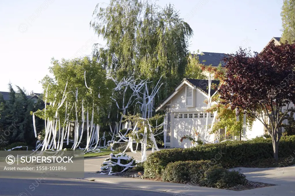 House, trees, toilet paper, hang,  Joke,   USA, California, Sacramento, Cameron park, property, disfigures, decorates, verunziert, devastates, paper, ...