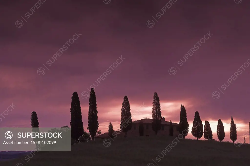 Italy, Tuscany, hills, Finca,  Cypresses, silhouette,  Dawn,  Europe, typically, regional-typically, country house, residence, estate, trees, hills, h...