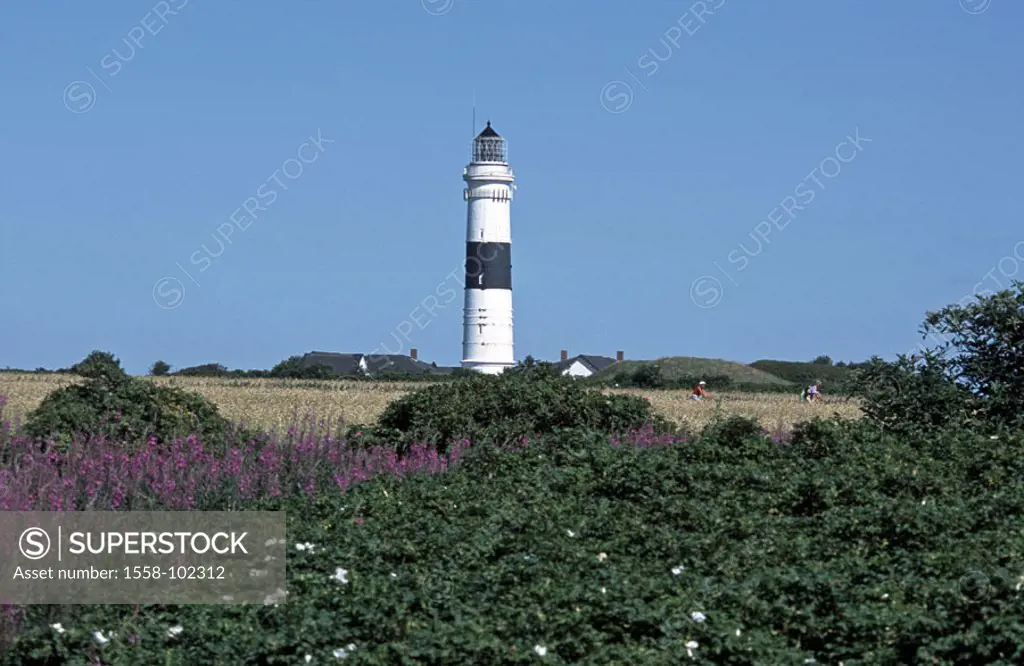 Germany, Schleswig-Holstein, island  Sylt, Kampen, field landscape, lighthouse,   Northern Germany, North Frisian islands North frieze country coast t...