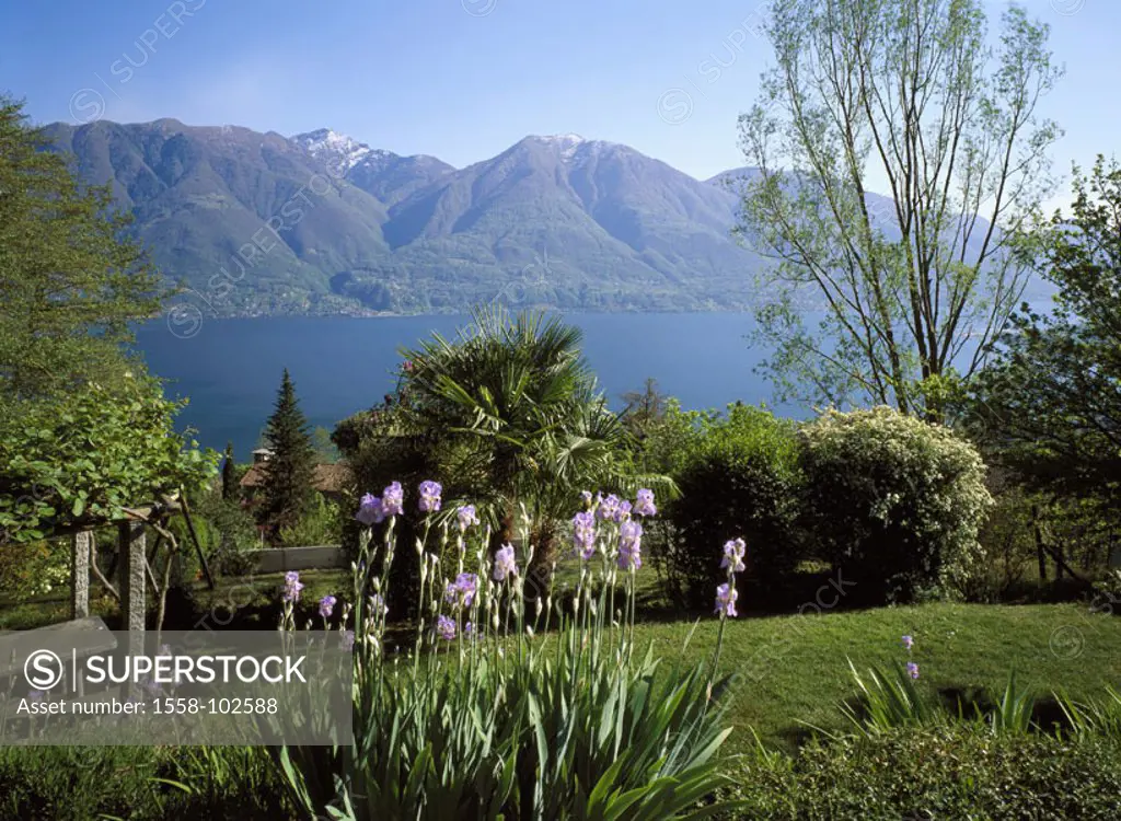 Switzerland, Tessin, Lago Maggiore, Locarno, garden, lake view,   Lago Verbano, reach sea, place, grounds, flowers, shrubs, plants, highland, sea, mou...